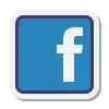icons8 facebook 100